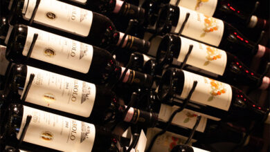 Why Would One Want a Wine Cellar in Ottawa
